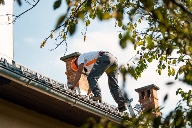 Best Metal Roofing Contractor  in Jenkins, KY