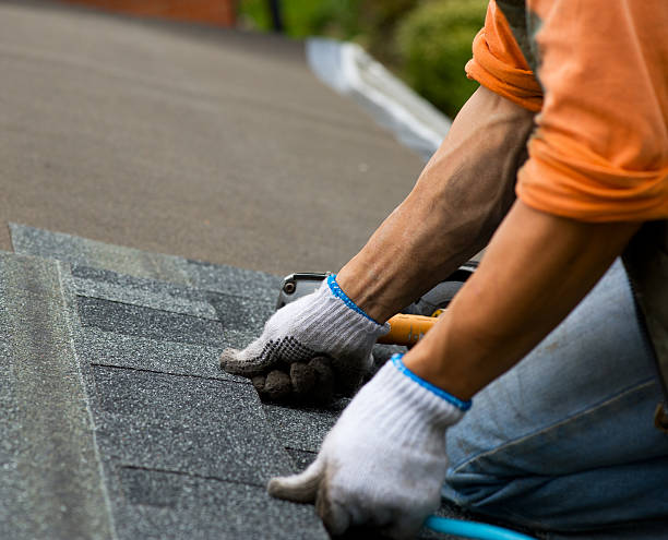 Best Roof Gutter Cleaning  in Jenkins, KY